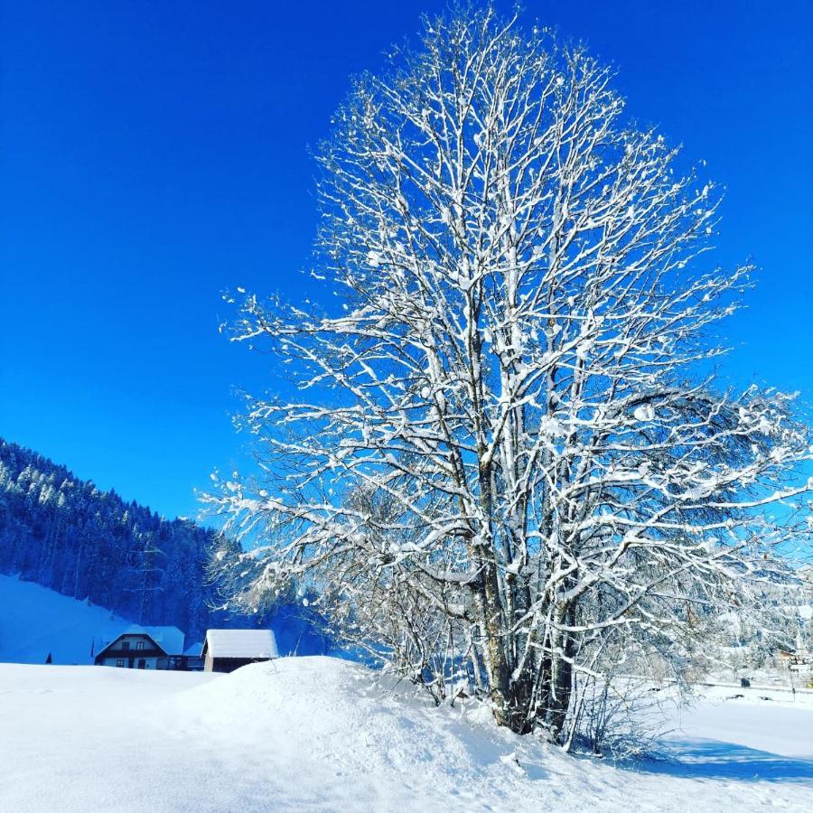 Bed & Breakfast Al Sentiero Di Charly Tarvisio